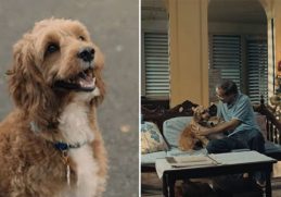 Globe releases touching Christmas video featuring grandpa and a dog